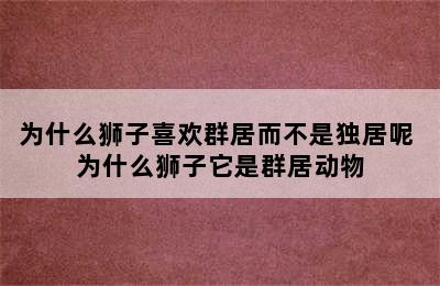 为什么狮子喜欢群居而不是独居呢 为什么狮子它是群居动物